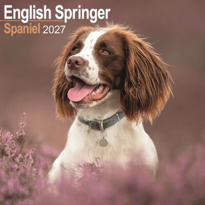 CAROUSEL CALENDARS 2027 English Springer Spaniel Wall CAROUSEL CALENDARS 2027 English Springer Spaniel Wall