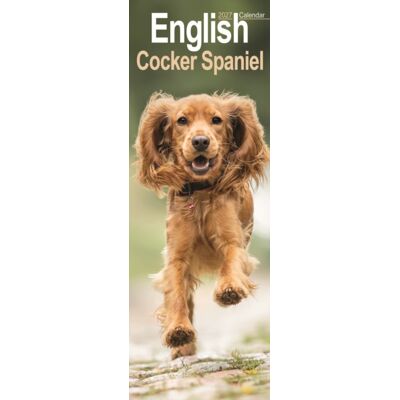 CAROUSEL CALENDARS 2027 English Cocker Spaniel Slim CAROUSEL CALENDARS 2027 English Cocker Spaniel Slim