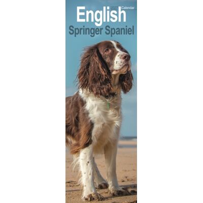 CAROUSEL CALENDARS 2027 English Springer Spaniel Slim CAROUSEL CALENDARS 2027 English Springer Spaniel Slim