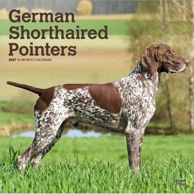 Brown Trout German Shorthaired Pointers 2027 12 X 24 Inch (Hanging) Monthly Square Wall Calendar Plastic-Free Browntrout Animals Dog Breeds Brown Trout German Shorthaired Pointers 2027 12 X 24 Inch (Hanging) Monthly Square Wall Calendar Plastic-Free Browntrout Animals Dog Breeds