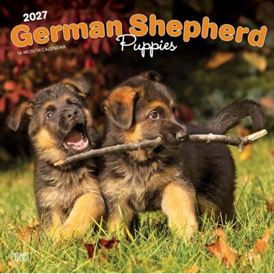 Brown Trout German Shepherd Puppies 2027 12 X 24 Inch (Hanging) Monthly Square Wall Calendar Plastic-Free Browntrout Animals Dog Breeds Puppy Brown Trout German Shepherd Puppies 2027 12 X 24 Inch (Hanging) Monthly Square Wall Calendar Plastic-Free Browntrout Animals Dog Breeds Puppy
