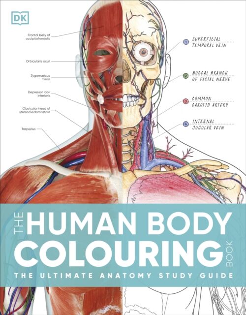 Dorling Kindersley Ltd The Human Body Colouring Book : The Ultimate Anatomy Study Guide