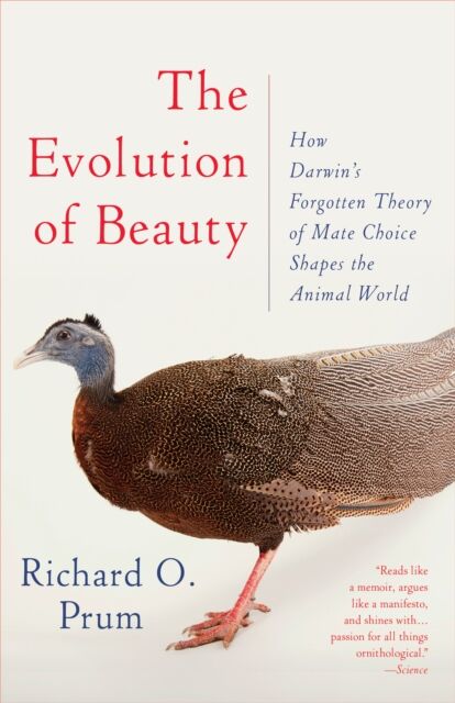 Random House USA Inc Evolution Of Beauty : How Darwin'S Forgotten Theory Of Mate Choice Shapes The Animal World - And Us