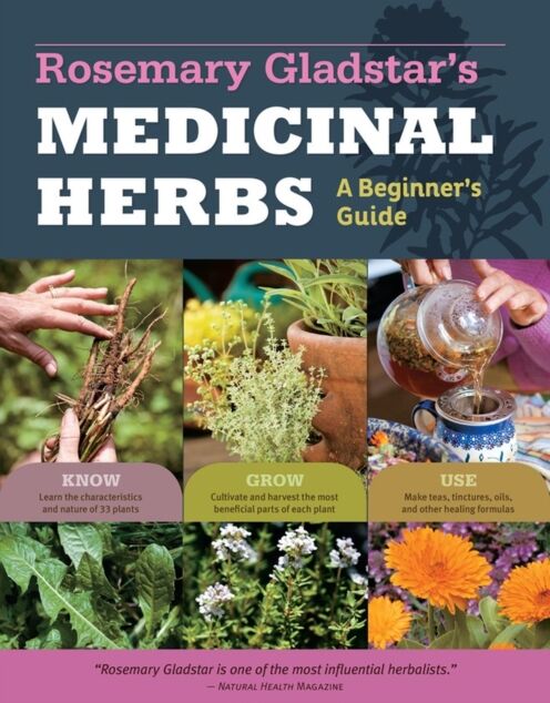Workman Publishing Rosemary Gladstar'S Medicinal Herbs: A Beginner'S Guide : 33 Healing Herbs To Know, Grow, And Use