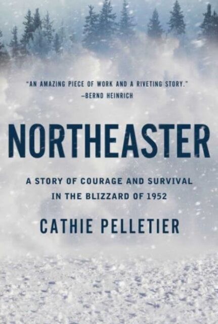 Pegasus Books Northeaster : A Story Of Courage And Survival In The Blizzard Of 1952