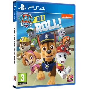 Sony Ps4 Paw Patrol On A Roll