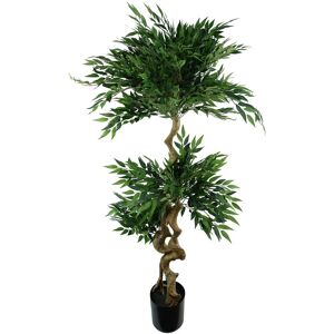 Leaf 160cm Ruscus Double Twist Trunk Natural Look Japanese Tree