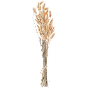 Beliani - Dried Flower Bouquet Preserved Flowers Bunch 58 cm Natural Sanabria - Natural