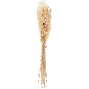 Beliani - Dried Flower Bouquet Preserved Flowers Bunch 65 cm Natural Brunete - Natural