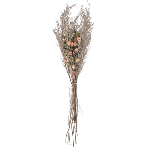 Beliani - Dried Flower Bouquet Preserved Flowers Bunch 65 cm Orange and Green Azuel - Orange