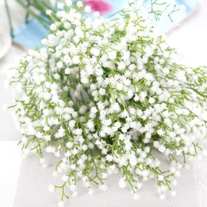 Dhklfa - 10pcs Plastic Dried Flowers, Han Shi Modern Natural Gypsophila Home Decor Star Sky Babys Breath Gift Large(52cm) Dhklfa - 10pcs Plastic Dried Flowers, Han Shi Modern Natural Gypsophila Home Decor Star Sky Babys Breath Gift Large(52cm)