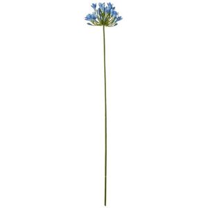 Agapanthus (Single Stem Flower) - Plastic - L15 x W15 x H75 cm - Blue Agapanthus (Single Stem Flower) - Plastic - L15 x W15 x H75 cm - Blue