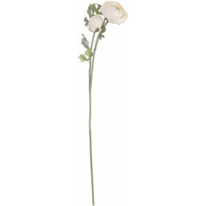 Hill Interiors - Soft Cream Ranunculus Artificial Flower - L15 x W25 x H58 cm Hill Interiors - Soft Cream Ranunculus Artificial Flower - L15 x W25 x H58 cm