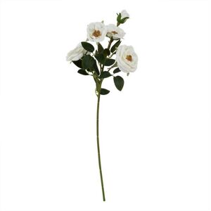 The Natural Garden Collection Hedge Rose (Single Stem Flower) - White The Natural Garden Collection Hedge Rose (Single Stem Flower) - White