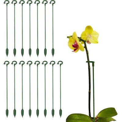 OEM 15 Pieces Indoor Plant Supports, 27cm Plant Supports, Monstera Deliciosa Supports, Protect Plants From Leaning, For Plants, Amaryllis, Flowers, Roses, Lilies, Peonies OEM 15 Pieces Indoor Plant Supports, 27cm Plant Supports, Monstera Deliciosa Supports, Protect Plants From Leaning, For Plants, Amaryllis, Flowers, Roses, Lilies, Peonies