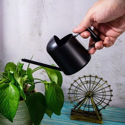 OEM Stainless Steel Watering Can With Elongated Spout – Small Size Ideal For Succulents And Flowers, Indoor/outdoor Use OEM Stainless Steel Watering Can With Elongated Spout – Small Size Ideal For Succulents And Flowers, Indoor/outdoor Use