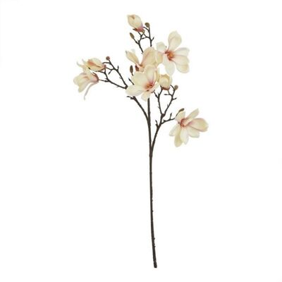 The Natural Garden Collection Pale Apricot Magnolia (Single Stem Flower) - Plastic - Height 86 cm The Natural Garden Collection Pale Apricot Magnolia (Single Stem Flower) - Plastic - Height 86 cm