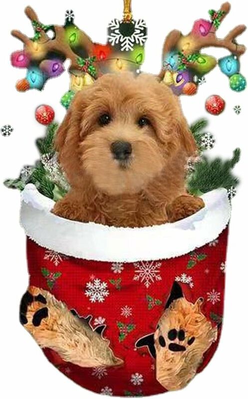 Denuotop - Other decoration for Christmas, Christmas decoration in the shape of a dog – Acrylic Christmas socks for Christmas tree Schnauzer Wiener