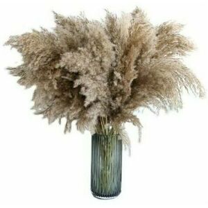 Neige - 20pcs 60cm pampas grass naturally dried wedding fashion bouquet artificial flowers for home decor indoor vases