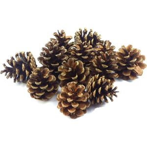 Woosien - 24 Pine Cones Approx. 7-9Cm Pine Cones Pine Cones Fir Natural Cones Christmas Decoration Advent Deco