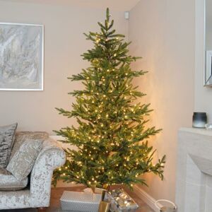 NOMA 7ft led Pre Lit Artificial Realistic pe Nordman Fir Christmas Tree Indoor Home Decoration - Green