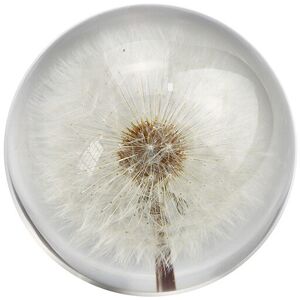 AlwaysHReal Dandelion Paperweight, Resin Ball Dandelion in Gift Box, Home Office Decoration, Birthday, Wedding Gift