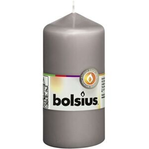 Berkfield Home - Bolsius Pillar Candles 10 pcs 120x58 mm Warm Grey