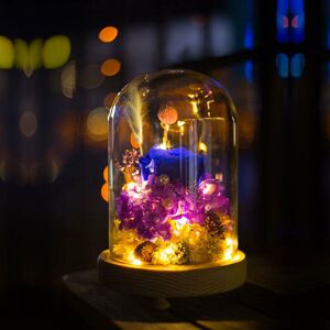 Livingandhome - Glass Display Bell Jar Dome Cloche with Wooden Base, 9x25cm Warm White Light