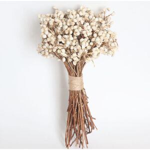 Héloise - Yunnan base wholesale small ginkgo dried flowers 100g home decoration glass cover props photography diy materials