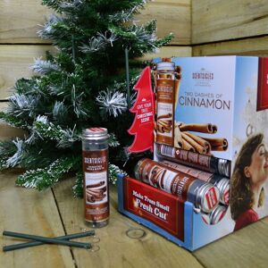 Samuel Alexander - 3 packs of 6 Scentsicles Scented Hanging Ornaments Sticks - Two Dashes of Cinnamon