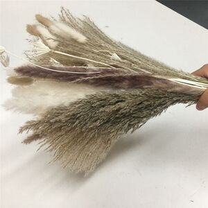 Tlily - 102Pcs Natural Dried Pampas Grass Decor Pampas Grass Bouquet for Flower Arrangements Wedding Decoration Boho Home Decor Tlily - 102Pcs Natural Dried Pampas Grass Decor Pampas Grass Bouquet for Flower Arrangements Wedding Decoration Boho Home Decor