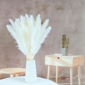 Tonchean - 15 Pcs Large Artificial Pampas Grass Rushes for Vase Filler, Home, Kitchen, Wedding, Office, Boho Decor Tonchean - 15 Pcs Large Artificial Pampas Grass Rushes for Vase Filler, Home, Kitchen, Wedding, Office, Boho Decor