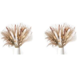 TLILY 170 Pcs Pampas Grass Decorative Vase Home Design Arrangements, Dried Natural Pampas Grass Plants Fluffy Dried Flowers TLILY 170 Pcs Pampas Grass Decorative Vase Home Design Arrangements, Dried Natural Pampas Grass Plants Fluffy Dried Flowers