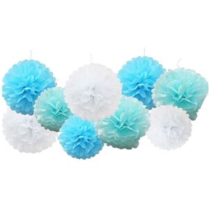 TLILY 18 Pcs/Set Mixed Tissue Paper Pompoms Pom Poms Flower Wedding Decoration ( Blue) TLILY 18 Pcs/Set Mixed Tissue Paper Pompoms Pom Poms Flower Wedding Decoration ( Blue)