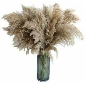 NEIGE 20pcs 60cm pampas grass naturally dried wedding fashion bouquet artificial flowers for home decor indoor vases NEIGE 20pcs 60cm pampas grass naturally dried wedding fashion bouquet artificial flowers for home decor indoor vases