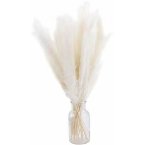 NEIGE 30 Pack Bohemian Style Dried Artificial Pampas Grass Home Decor Phragmites Dried Flowers for Vases White Flower Bouquet Wedding (White,Without Vase) NEIGE 30 Pack Bohemian Style Dried Artificial Pampas Grass Home Decor Phragmites Dried Flowers for Vases White Flower Bouquet Wedding (White,Without Vase)