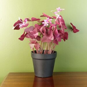 Leaf - 30cm Artificial Plant Realistic Purple Shamrock Pink Flowers Potted Leaf - 30cm Artificial Plant Realistic Purple Shamrock Pink Flowers Potted