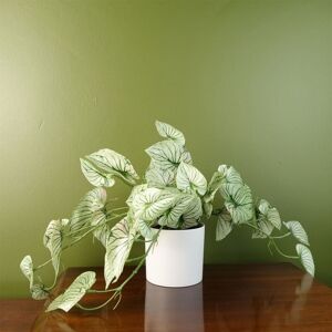 Leaf - 30cm Artificial Trailing Plant Realistic Variegated Potted Alocasia Leaf - 30cm Artificial Trailing Plant Realistic Variegated Potted Alocasia