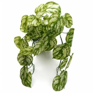 Leaf 35cm Artificial Trailing Light Green Plant Leaf 35cm Artificial Trailing Light Green Plant