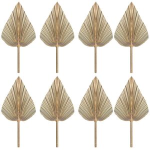 TLILY 4pcs Dried Palm Leaves Dried Palm Fans Bohemian Dried Palm Spears Artificial Plants Palm Leaves Tropical Palm Leaves X2 I500154374 TLILY 4pcs Dried Palm Leaves Dried Palm Fans Bohemian Dried Palm Spears Artificial Plants Palm Leaves Tropical Palm Leaves X2 I500154374