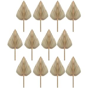 TLILY 4pcs Dried Palm Leaves Dried Palm Fans Bohemian Dried Palm Spears Artificial Plants Palm Leaves Tropical Palm Leaves X3 I500154374 TLILY 4pcs Dried Palm Leaves Dried Palm Fans Bohemian Dried Palm Spears Artificial Plants Palm Leaves Tropical Palm Leaves X3 I500154374