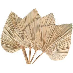 Tlily - 4Pcs Dried Palm Leaves Fans Bohemian Spears Artificial Plants Tropical Tlily - 4Pcs Dried Palm Leaves Fans Bohemian Spears Artificial Plants Tropical