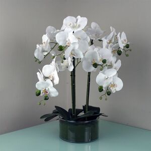 Leaf - 50cm Artificial Orchid with Glass Planter - White Leaf - 50cm Artificial Orchid with Glass Planter - White