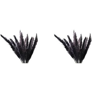 TLILY 60Pcs Black Pampas Grass, 17 Inch Natural Dried Fluffy Small Stems for Home Wedding Decor Flower Arrangements,Decor TLILY 60Pcs Black Pampas Grass, 17 Inch Natural Dried Fluffy Small Stems for Home Wedding Decor Flower Arrangements,Decor