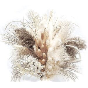 TLILY 79Pcs Natural Dried Pampas Grass, Boho Decor Fluffy White Pompous Grass Large Reed Bunny Tail Wheat Stalk Decorative TLILY 79Pcs Natural Dried Pampas Grass, Boho Decor Fluffy White Pompous Grass Large Reed Bunny Tail Wheat Stalk Decorative