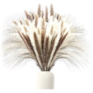 TLILY 80Pcs Pampas Grass, Boho Home Decor Dried Flowers Arrangements, Nature Dried Pampas Grass Decor Small Pompous TLILY 80Pcs Pampas Grass, Boho Home Decor Dried Flowers Arrangements, Nature Dried Pampas Grass Decor Small Pompous