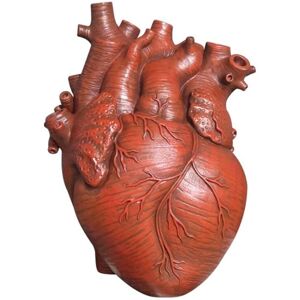 TLILY Anatomical Heart Vase Resin Flower Pot Heart Shape Vase Countertop Desktop Ornament Table Desk Flower Vase Decor-Red TLILY Anatomical Heart Vase Resin Flower Pot Heart Shape Vase Countertop Desktop Ornament Table Desk Flower Vase Decor-Red