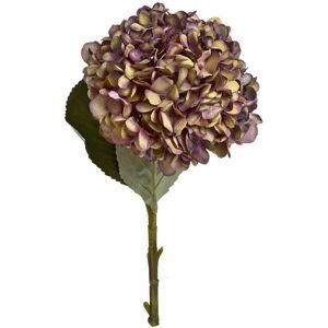 Hill Interiors - Autumn Burgundy Hydrangea Artificial Flower (Single Stem) - Fabric/Plastic - L18 x W18 x H42 cm - Red Hill Interiors - Autumn Burgundy Hydrangea Artificial Flower (Single Stem) - Fabric/Plastic - L18 x W18 x H42 cm - Red