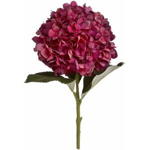 Hill Interiors - Autumn Ruby Hydrangea Artificial Flower - Fabric/Plastic - L18 x W18 x H42 cm - Red - Single Stem Hill Interiors - Autumn Ruby Hydrangea Artificial Flower - Fabric/Plastic - L18 x W18 x H42 cm - Red - Single Stem