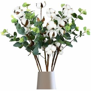 TRIMEC Brindille de coton 6 pièces , Brindille de coton séchée Blanc Décoration en coton pour vases, bouquet séché, comme décoration de mariage ou TRIMEC Brindille de coton 6 pièces , Brindille de coton séchée Blanc Décoration en coton pour vases, bouquet séché, comme décoration de mariage ou